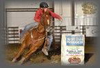 triple_d_performance_horses_website_new003008.jpg